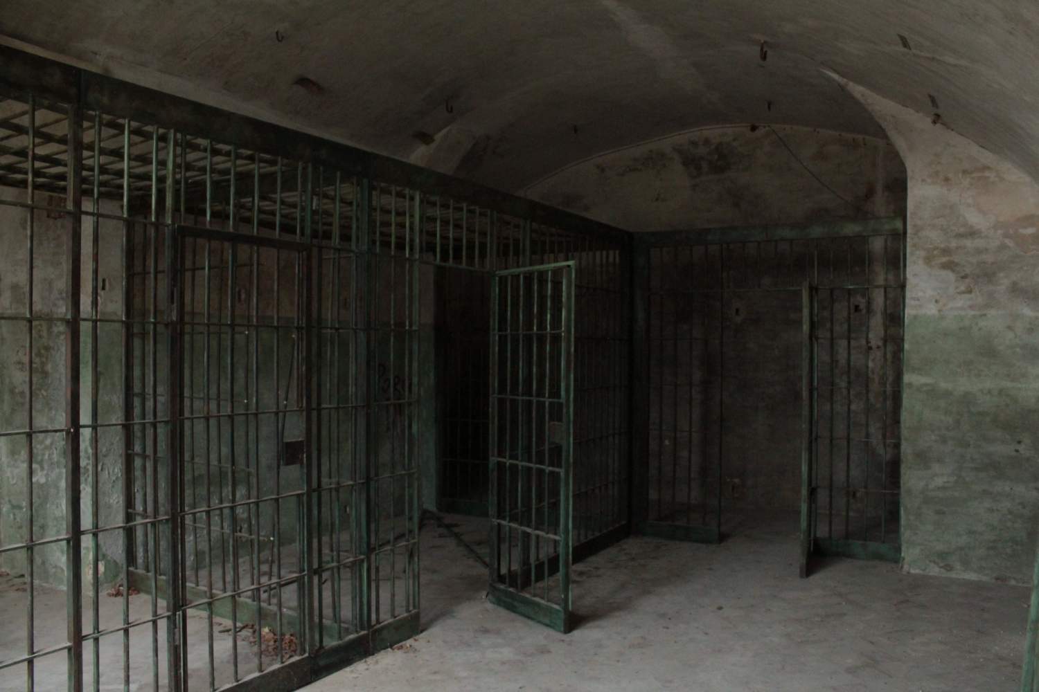 Il tribunale dei gatti